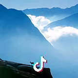 陈大伟头像
