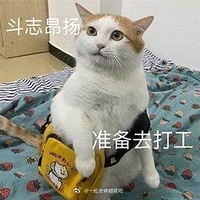 邱粟头像
