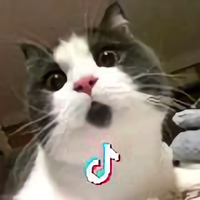 A夢一膓头像