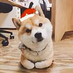 宁夏阿峰严选二手车头像