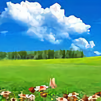 沧海一粟2626头像