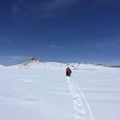 木帛的旅行游记头像