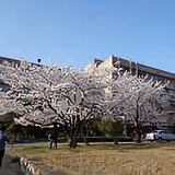 袁庭飞867头像