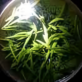 小乐快乐昂头像