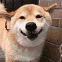 用户8479885906845头像