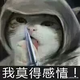 HuangJinYan头像