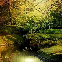 遗失的心跳41846059头像