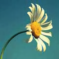 南疆90后小公头像