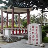 young的视频头像