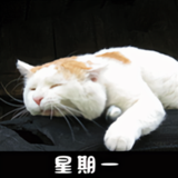 上进的月光如洗头像