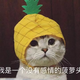 清和月六头像