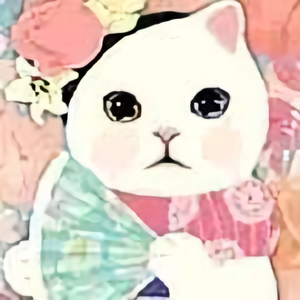HAITUN和猫头像
