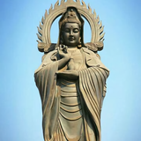 隐形的翅膀240103211头像