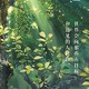 就爱佛前那朵莲花头像