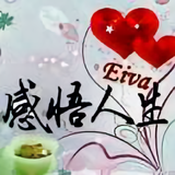 用户6335809300296头像