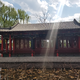 让记忆芳醇头像