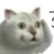 用户4863619063810头像