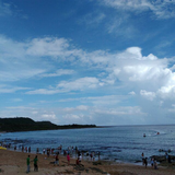 我心飞翔2495571头像