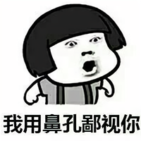 老王还是隔壁的好z头像