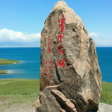 豫NB888T头像