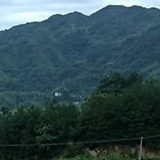 莲城胖哥头像