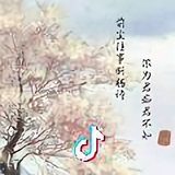 某某某头像