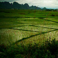 神采飞扬xf头像