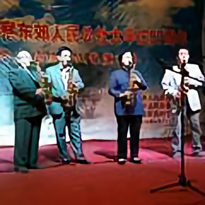 怀仁镇庄户剧团赵炳云头像