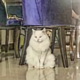 Casper的日常头像