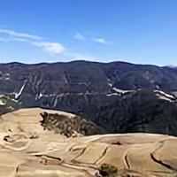 李大car头像