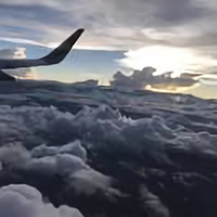 天高任鸟飞284头像