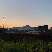 嘿你今天吃了么头像