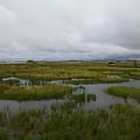 城市冲浪人头像