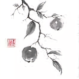 明辉3494头像