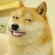 芢錸鎽头像