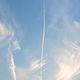 man107409806头像