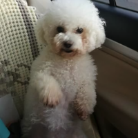 转转看看123头像