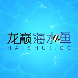 龙巅海水鱼头像