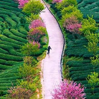 春雷139489409头像