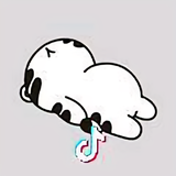 风潇潇头像