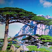 山峰260554217头像