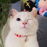 一位不愿意透漏姓名头像