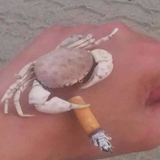 优雅叶子gCL头像