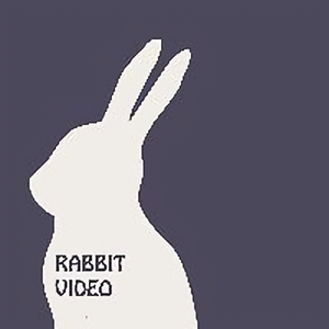 兔子视频站头像