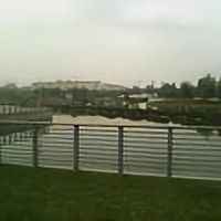 知心朋友6689头像