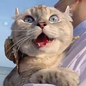 神將头像