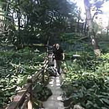 带走落叶的小河流水头像