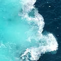 老虎变肥猫头像