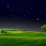 逆行的自媒体头像