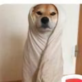 lebulangjim头像